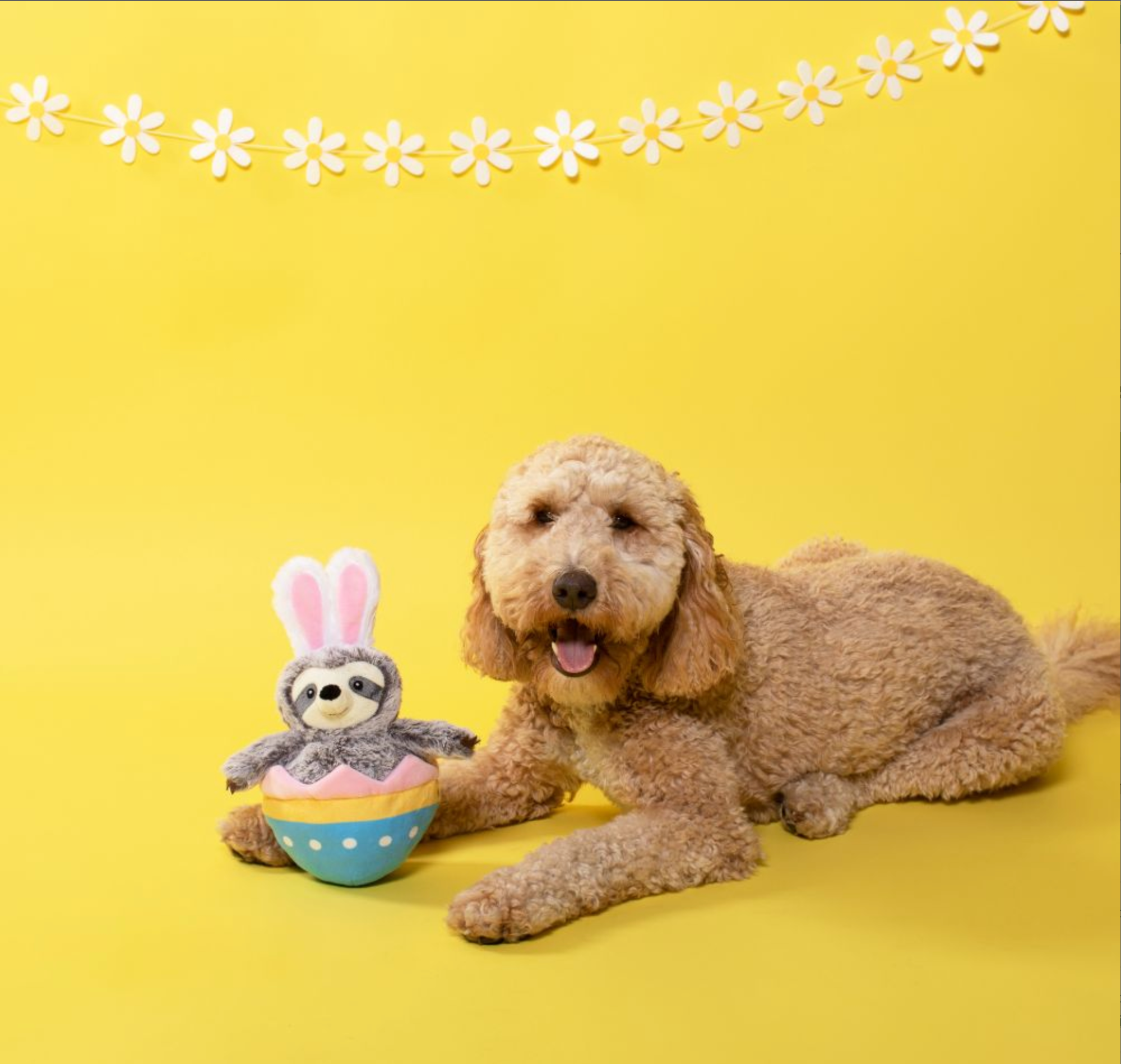 Eggstra Special Sloth Plush Dog Toy – Tail Waggin' Biscuits