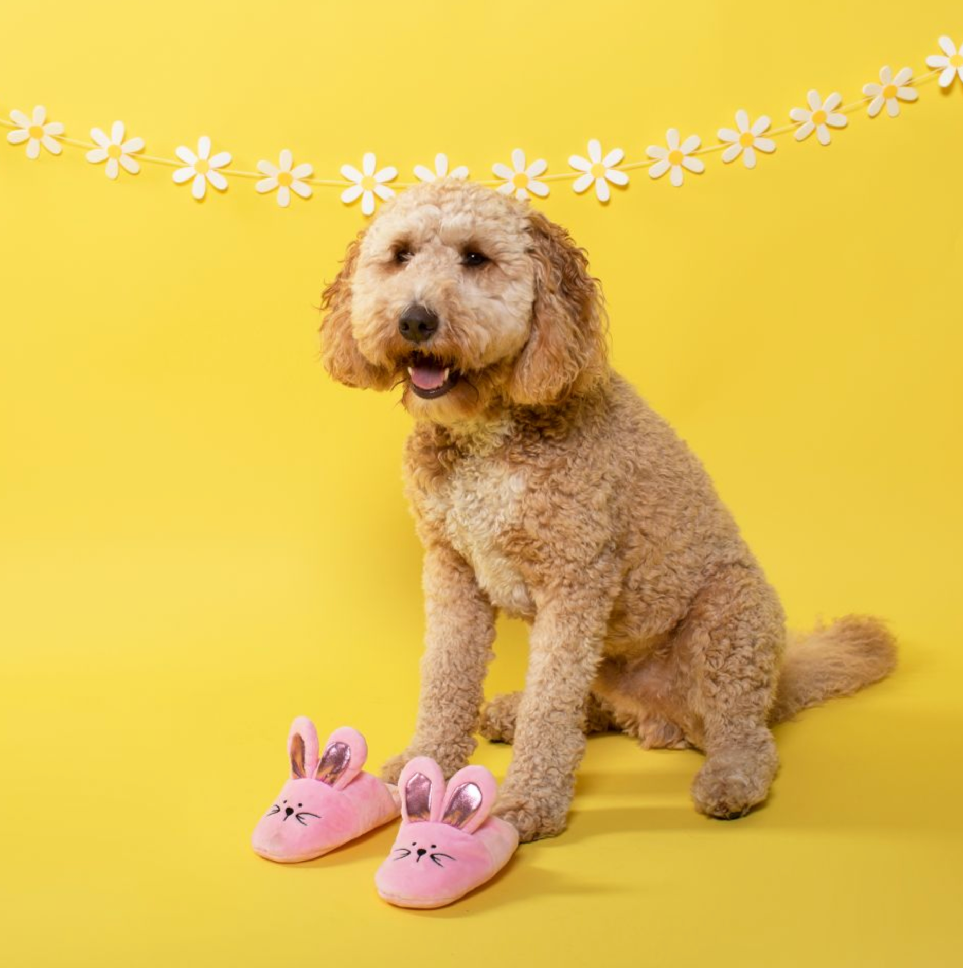 Bunny Slipper Set Dog Toy