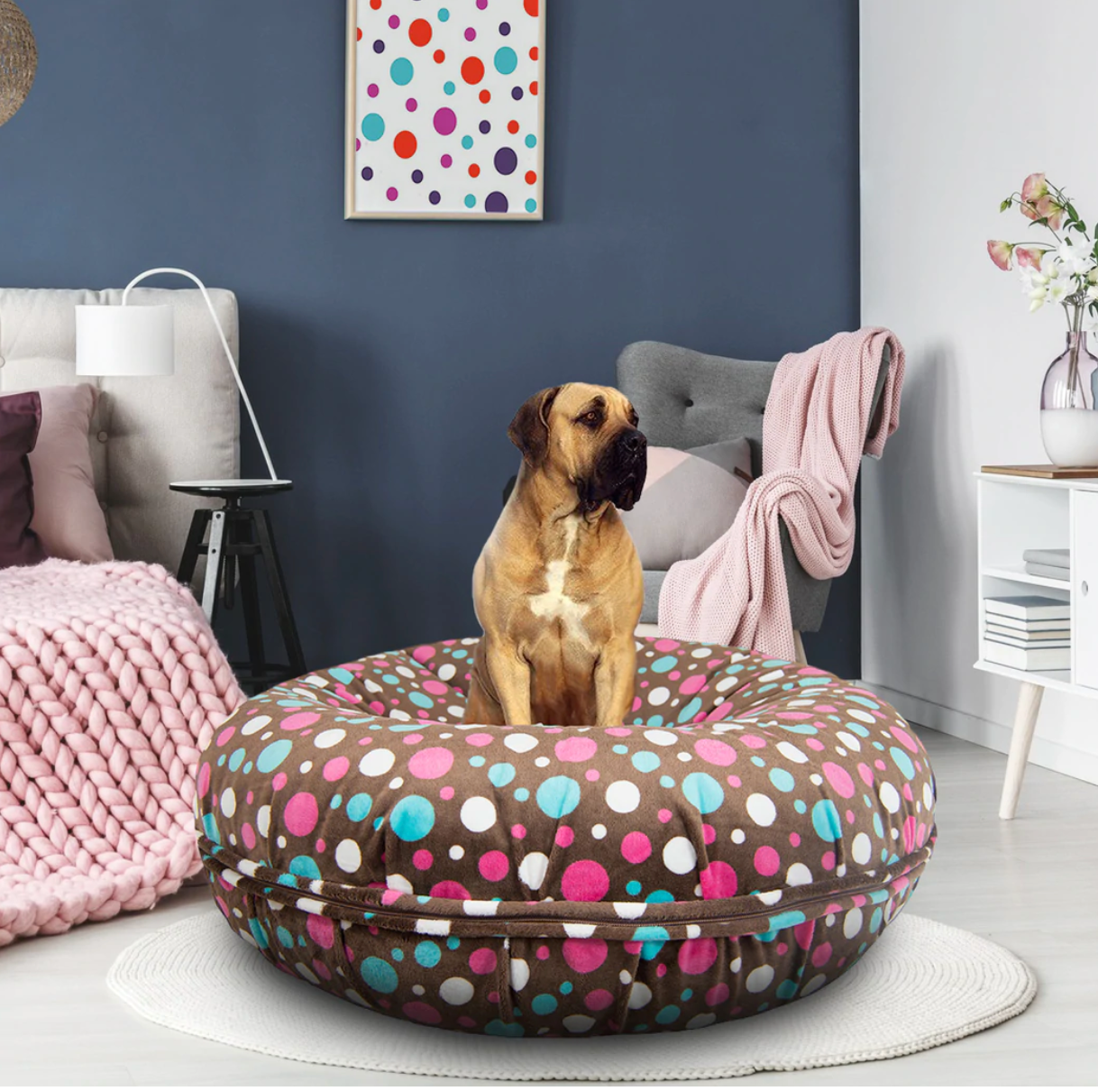 Bagel bed clearance