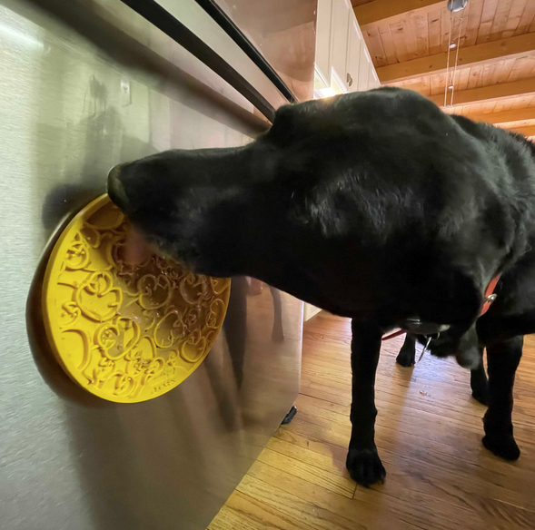 Bones Design Emat Enrichment Licking Mat