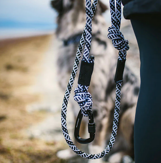 Climbing Rope Carabiner Leashes by Wilderdog (2 sizes) – Tail Waggin'  Biscuits & Bones, Inc.